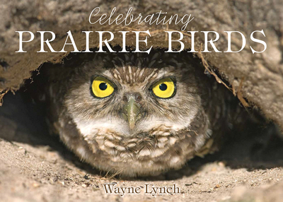 A Celebration of Prairie Birds - Lynch, Wayne