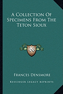 A Collection Of Specimens From The Teton Sioux