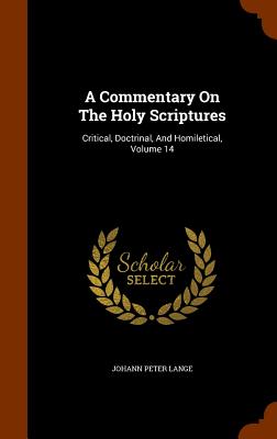 A Commentary On The Holy Scriptures: Critical, Doctrinal, And Homiletical, Volume 14 - Lange, Johann Peter