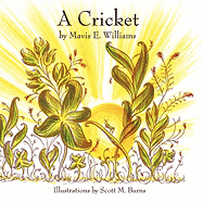 A Cricket