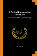 A Critical Pronouncing Dictionary: And Expositor of the English Language