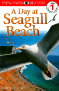 A Day at Seagull Beach