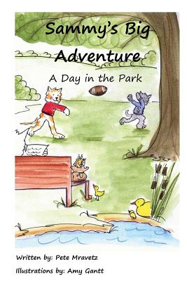 A Day in the Park - Mravetz, Pete