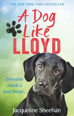 A Dog Like Lloyd - Sheehan, Jacqueline