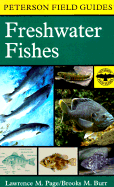 A Field Guide to Freshwater Fishes: North America North of Mexico