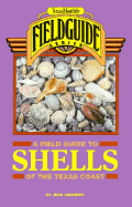 A Field Guide to Shells of the Texas Coast - Andrews, Jean