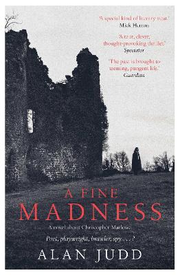 A Fine Madness: Sunday Times 'Historical Fiction Book of the Month' - Judd, Alan