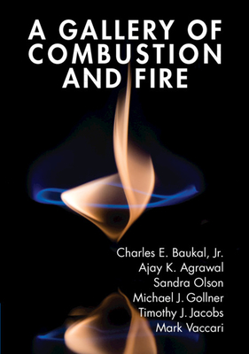 A Gallery of Combustion and Fire - Baukal Jr, Charles E, and Agarwal, Ajay K (Editor), and Olson, Sandra (Editor)
