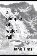 A glimpse of water fall