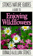 A Guide to Enjoying Wildflowers