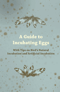 A Guide to Incubating Eggs - With Tips on Birds Natural Incubation and Artificial Incubation