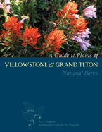 A Guide to Plants of Yellowstone and Grand Teton National Parks: Natural History Notes and Uses