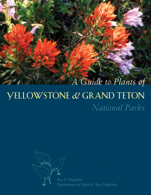 A Guide to Plants of Yellowstone and Grand Teton National Parks: Natural History Notes and Uses - Vizgirdas, Ray S