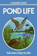 A Guide to Pond Life