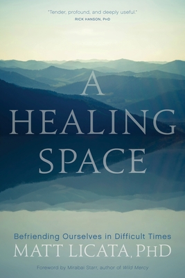 A Healing Space: Befriending Ourselves in Difficult Times - Licata, Matt, and Starr, Mirabai (Introduction by)