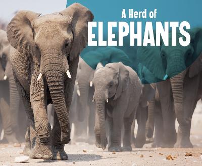 A Herd of Elephants - Kortuem, Amy