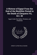 A History of Egypt From the End of the Neolithic Period to the Death of Cleopatra Vii, B.C. 30: Egypt Under the Sates, Persians, and Ptolemies