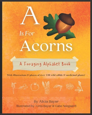 A Is For Acorns: A Foraging Alphabet Book - Bayer, Alicia
