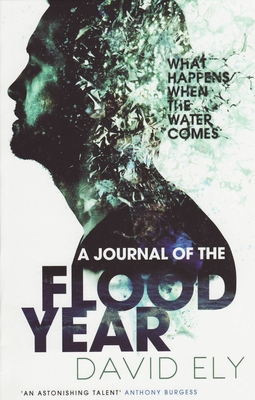 A Journal Of The Flood Year - Ely, David