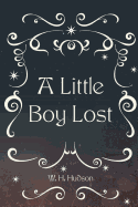 A Little Boy Lost