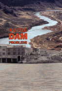A Little Dam Problem