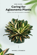 A mini-guide to caring for Aglaonema plants