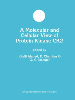 A Molecular and Cellular View of Protein Kinase CK2 - Ahmed, Khalil (Editor), and Chambaz, E. (Editor), and Issinger, Olaf-Georg (Editor)