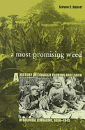 A Most Promising Weed: A History of Tobacco Farming and Labor in Colonial Zimbabwe, 1890-1945 Volume 69