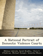 A National Portrait of Domestic Violence Courts
