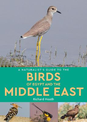 A Naturalist's Guide to the Birds of Egypt and the Middle East - Hoath, Richard