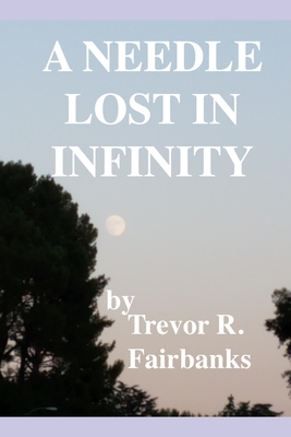 A Needle Lost in Infinity - Fairbanks, Trevor R