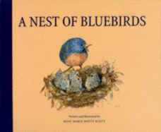 A Nest of Bluebirds - 