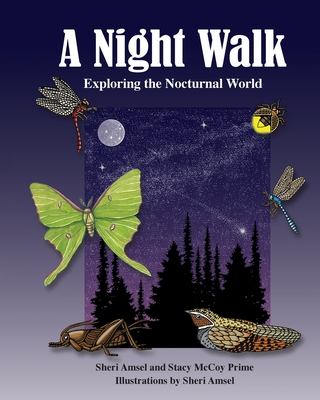 A Night Walk: Exploring the Nocturnal World - McCoy, Stacy