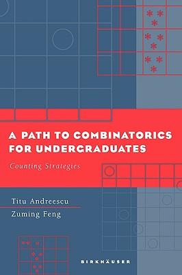 A Path to Combinatorics for Undergraduates: Counting Strategies - Andreescu, Titu, and Feng, Zuming