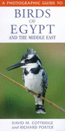 A Photographic Guide to Birds of Egypt and  the Middle East