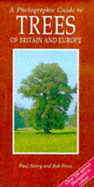 A Photographic Guide to Trees of Britain and Europe - Press, J. R., and Sterry, Paul