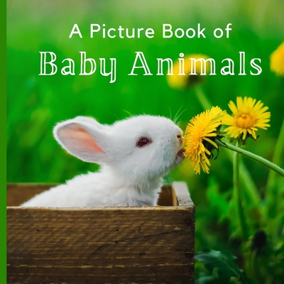 A Picture Book of Baby Animals: A Beautiful Picture Book for Seniors With Alzheimer's or Dementia. - A Bee's Life Press