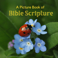 A Picture Book of Bible Scripture: A Beautiful Large Print Picture Book for Seniors With Alzheimer's or Dementia.