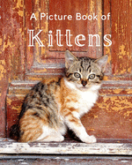 A Picture Book of Kittens: A Beautiful Picture Book for Seniors With Alzheimer's or Dementia. A Wonderful Gift For Cat Lovers.