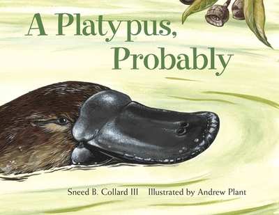 A Platypus, Probably - Collard, Sneed B