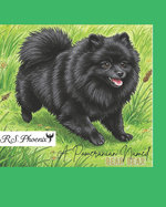 A Pomeranian Named Bear Bear