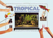 A Practical Guide to Setting Up Your Tropical Freshwater Aquarium