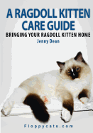 A Ragdoll Kitten Care Guide: Bringing Your Ragdoll Kitten Home