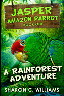 A Rainforest Adventure: Large Print Edition