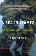 A Sea in Flames: The Deepwater Horizon Oil Blowout