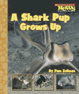 A Shark Pup Grows Up - Zollman, Pam