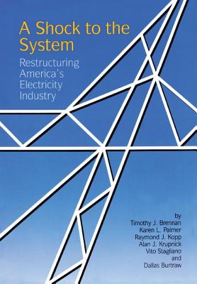 A Shock to the System: Restructuring America's Electricity Industry - Brennan, Timothy J., and Palmer, Karen L., and Kopp, Raymond J.