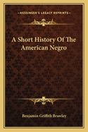 A Short History Of The American Negro