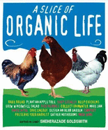 A Slice of Organic Life