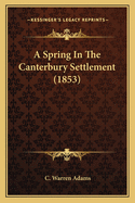 A Spring In The Canterbury Settlement (1853)